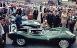 Jaguar_D_1954