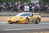 24h du mans 2001 Corvette C5 N°64 