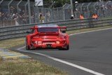 flying lizard